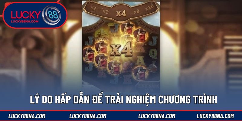 Lý do hấp dẫn để trải nghiệm chương trình