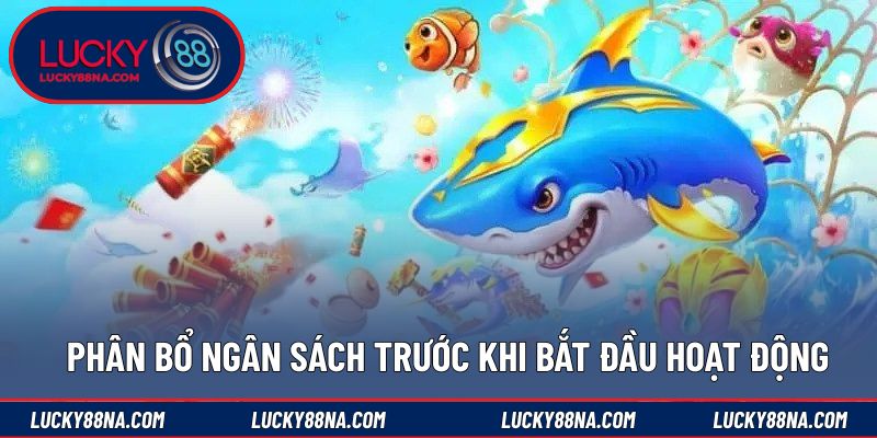 Phân bổ ngân sách trước khi bắt đầu hoạt động